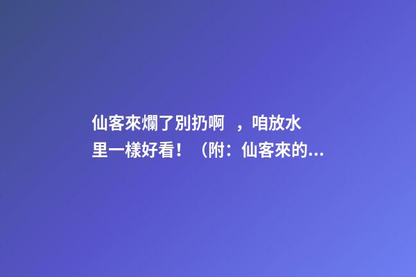 仙客來爛了別扔啊，咱放水里一樣好看?。ǜ剑合煽蛠淼娘L水作用）